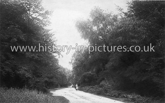 Monkhams Lane, Buckhurst Hill, Essex. c.1920's